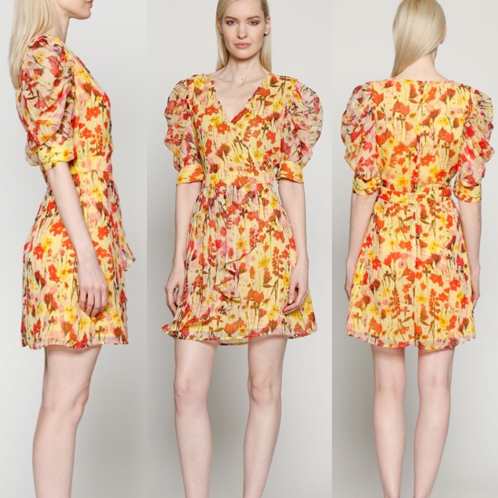 New With Tags Walter Baker Adriana Dress
